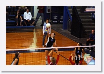 vs Manhattan * (216 Slides)